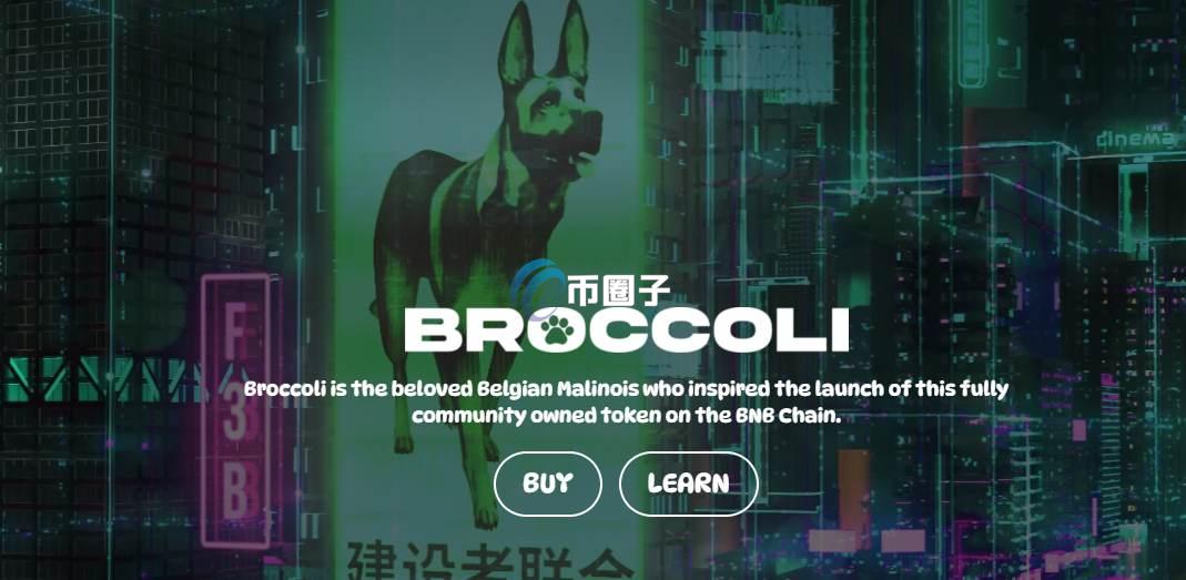 BROCCOLI是什么币种？BROCCOLI币怎么样？