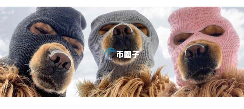 SKI是什么币种？SKI币怎么样？