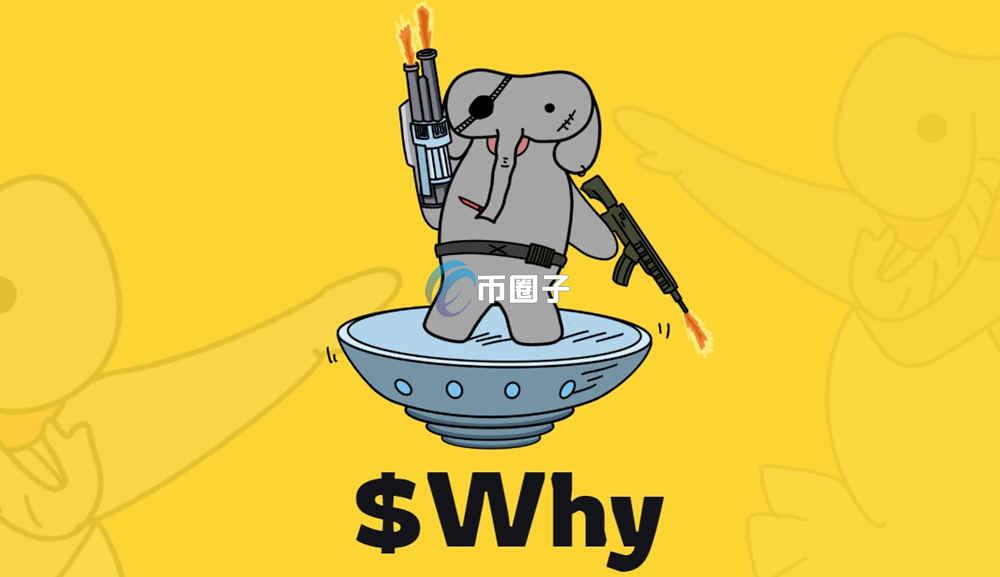 WHY币要上主网了吗？WHY币是千倍币吗？