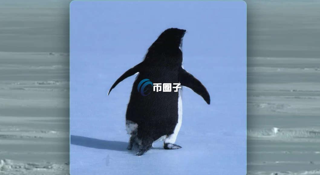 PENGUIN是什么币种？PENGUIN币有价值吗？