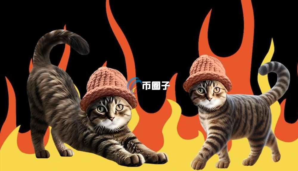 CWIF是什么币种？CWIF币能涨到100元吗？