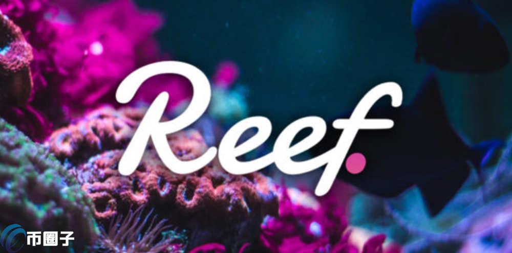 REEF币会成为黑马吗？REEF币发展潜力分析