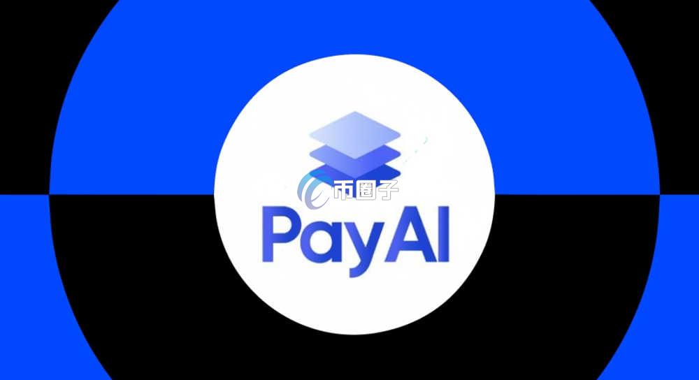 PAYAI币怎么样？PAYAI币潜力大吗？