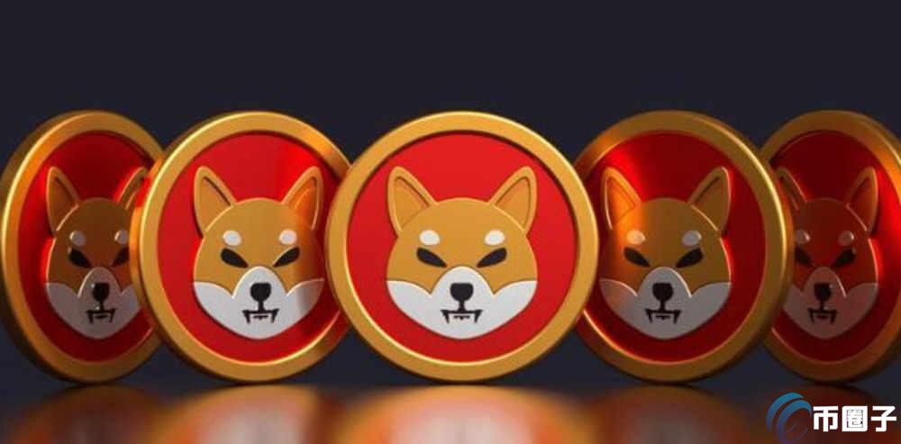 柴犬币和佩佩币哪个有投资价值？