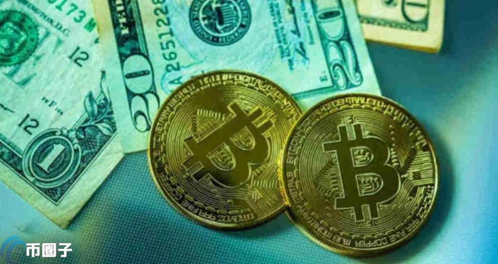 币圈最具价值的龙头币是什么？有哪些？