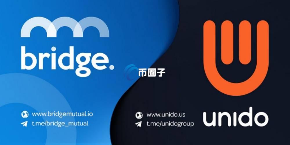 BMI是什么币种？BMI币值得投资吗？