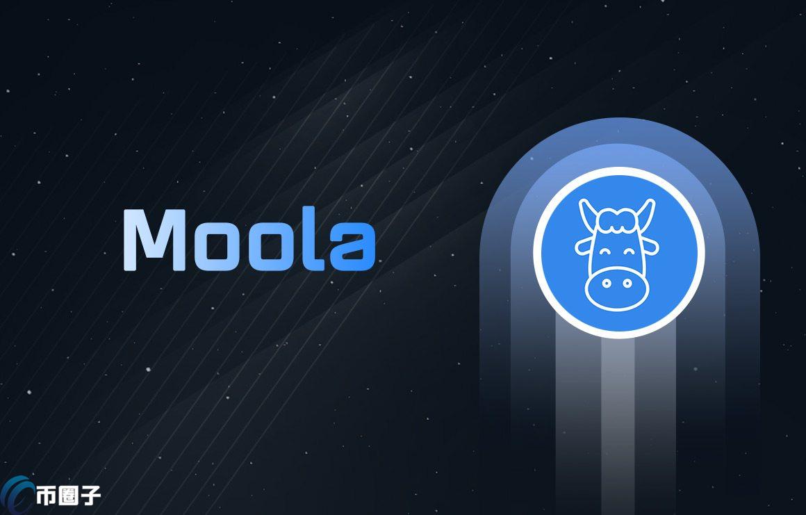 MLA是什么币种？MLA币有没有价值？