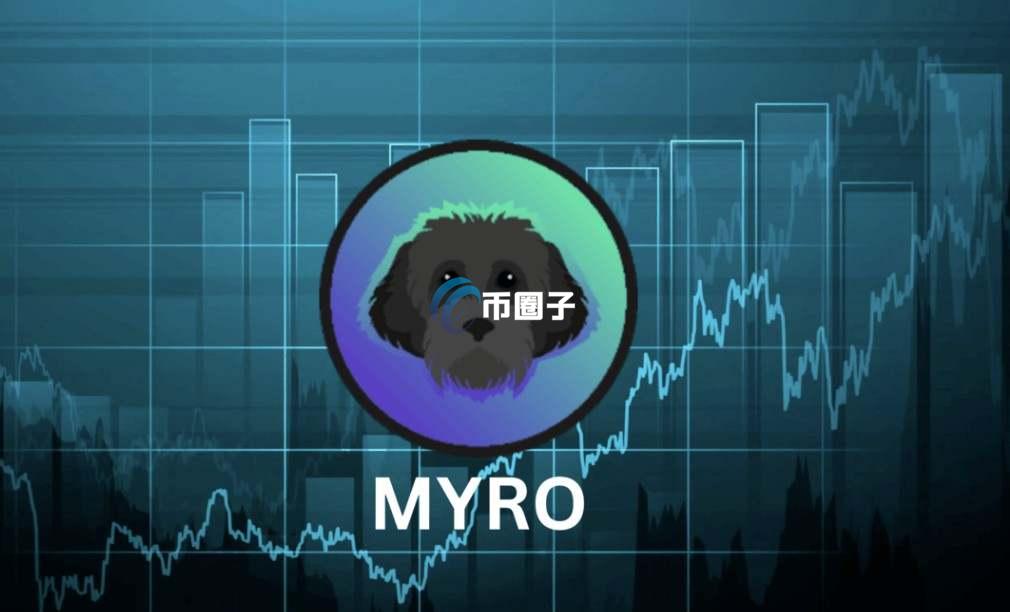 MYRO币是龙头吗？MYRO币未来前景分析
