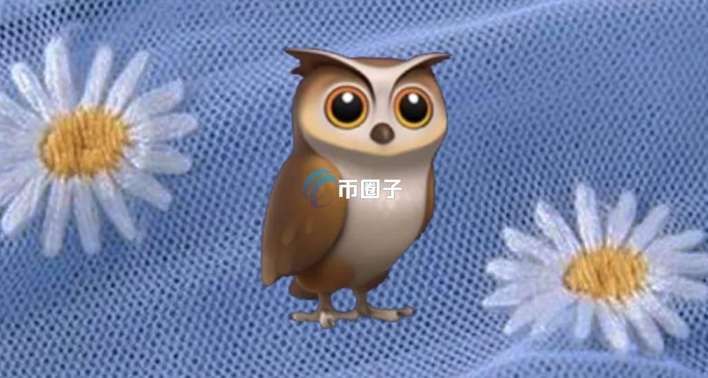 INDEX是什么币种？INDEX币怎么样？