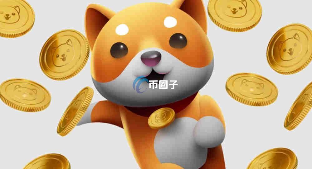 BABYDOGE币2025年能涨到多少？