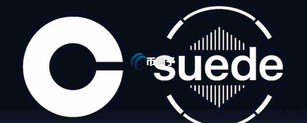 SUEDE是什么币种？SUEDE币有价值吗？