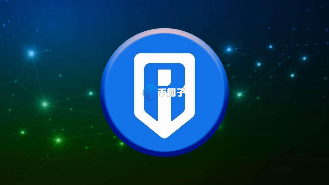 RONIN是什么币种？是百倍币吗？