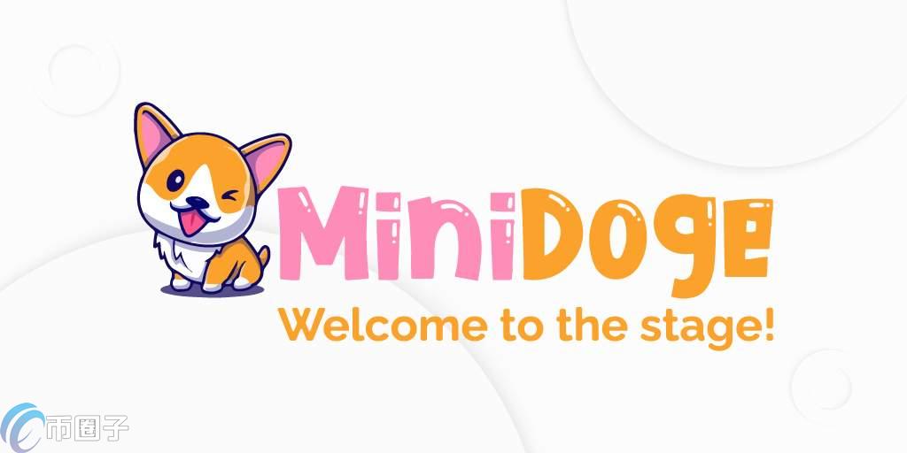 MINIDOG币价格多少？MINIDOG币历史价格一览