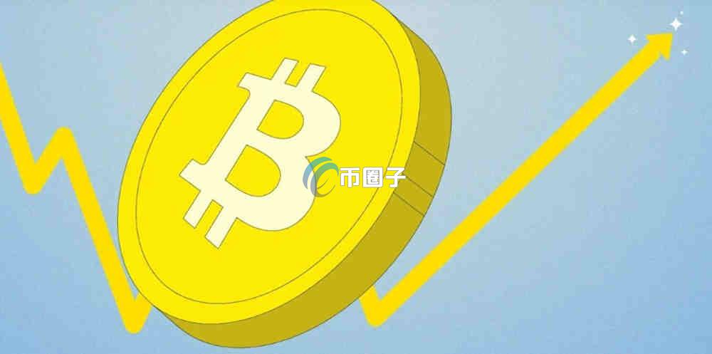 币圈十大龙头币及历史行情