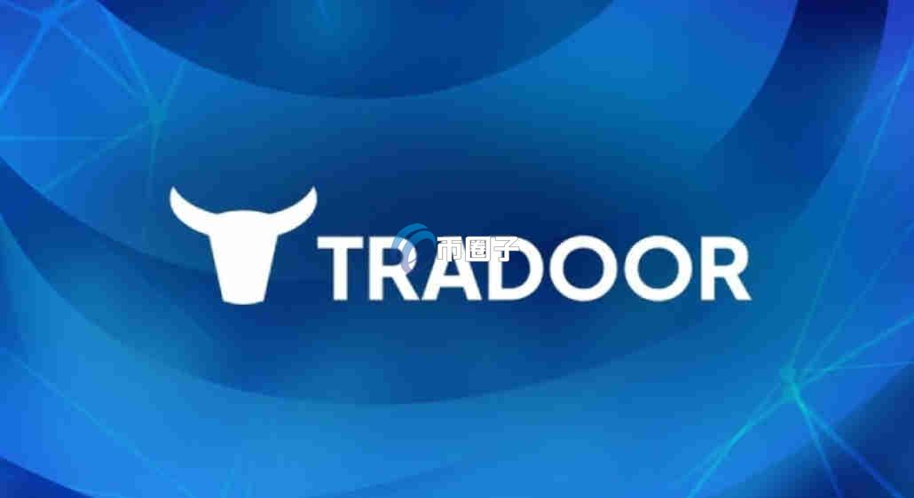 TRADOOR币未来如何？有价值吗？