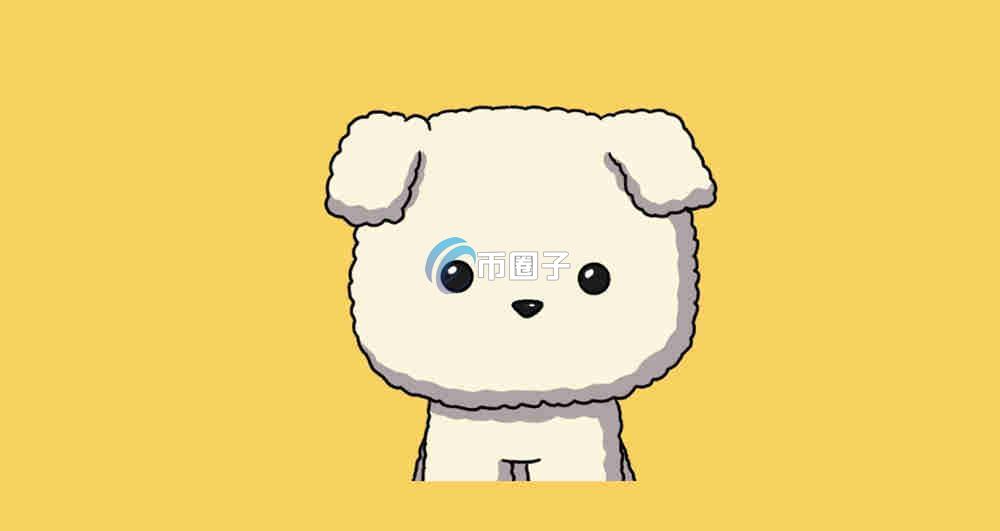 BOOPA是什么币种？BOOPA币有价值吗？