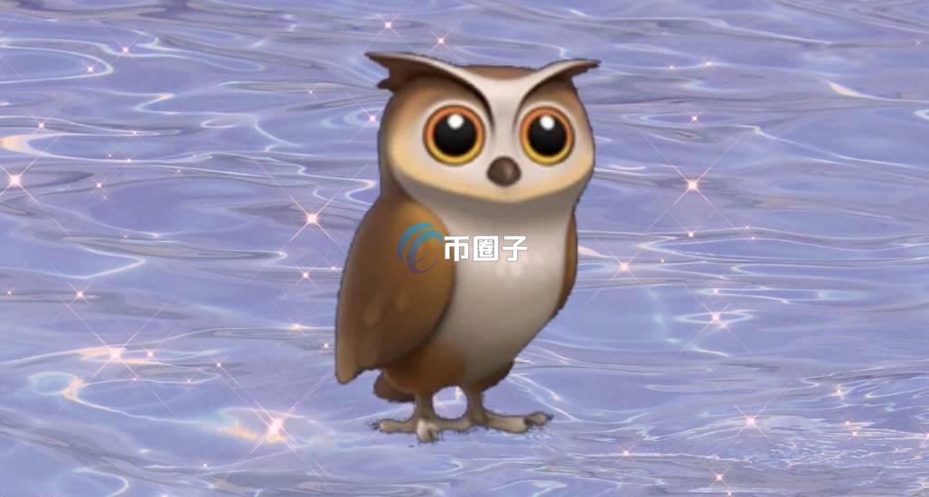 INDEX是什么币种？INDEX币怎么样？