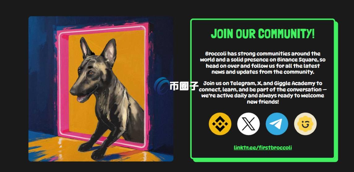 BROCCOLI币合约地址多少？BROCCOLI币合约地址介绍