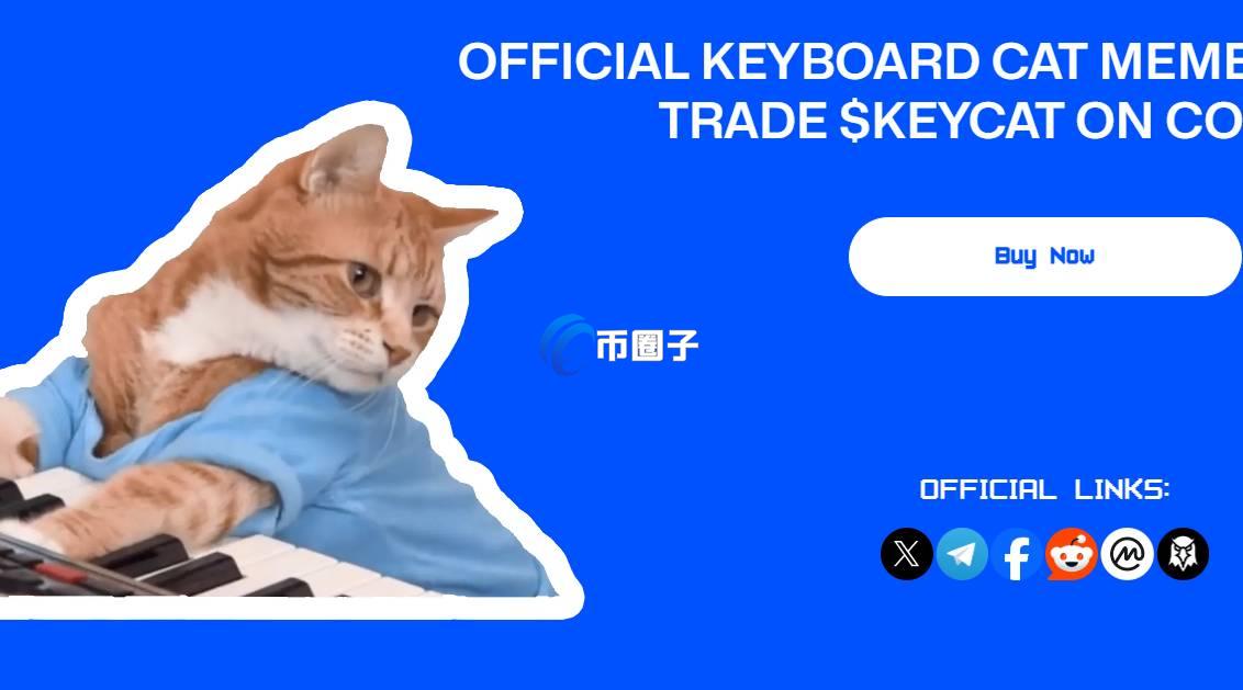 KEYCAT是什么币种？KEYCAT币有价值吗？