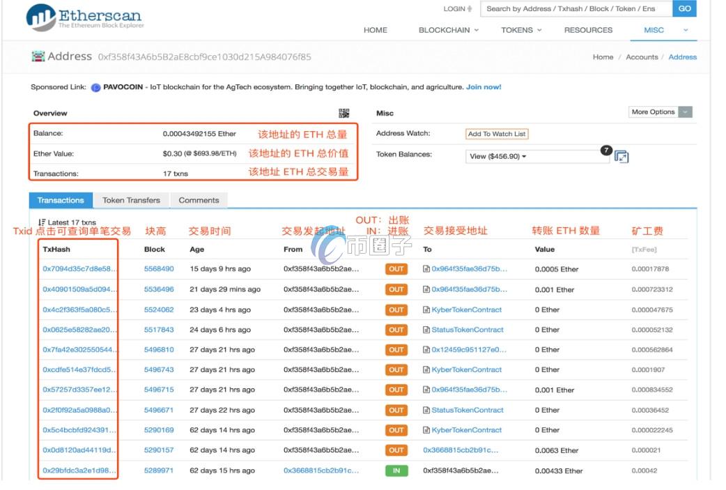 怎么查一个币种的持币数量？持币数量查询实操教程