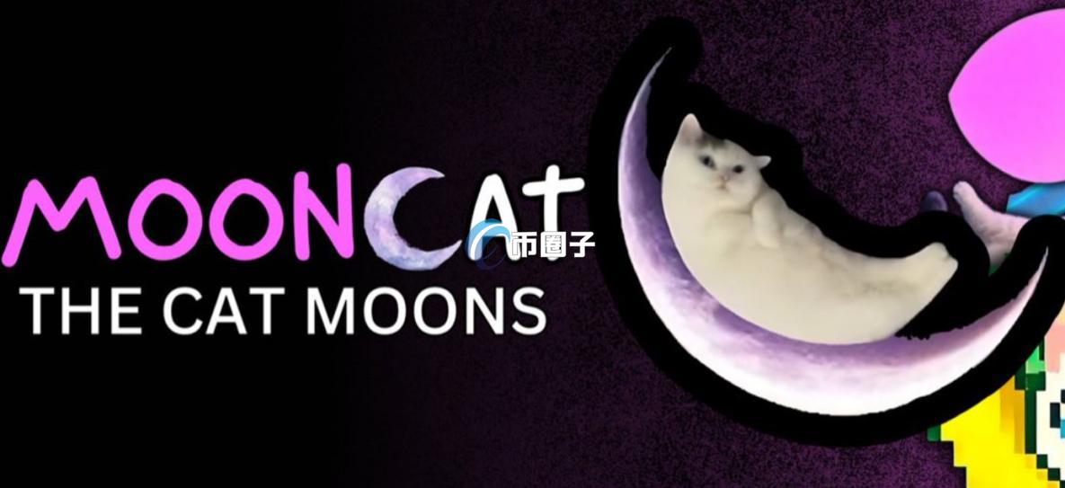 吉祥物概念币有哪些?重点吉祥物代币名单一览 吉祥物概念币有哪些?重点吉祥物代币名单一览