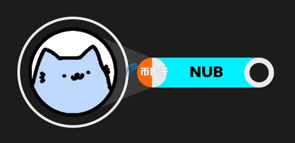 NUB是什么币种？NUB币会上交易所吗？
