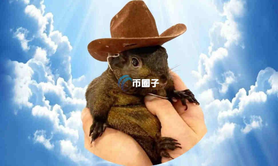 Solana链上的币有哪些?Solana链上的币种大盘点 Solana链上的币有哪些?Solana链上的币种大盘点