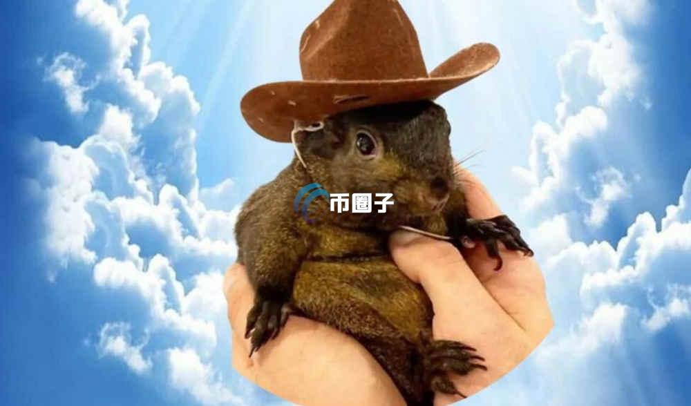 PNUT币的发展前景如何?PNUT币发展前景分析 PNUT币的发展前景如何?PNUT币发展前景分析