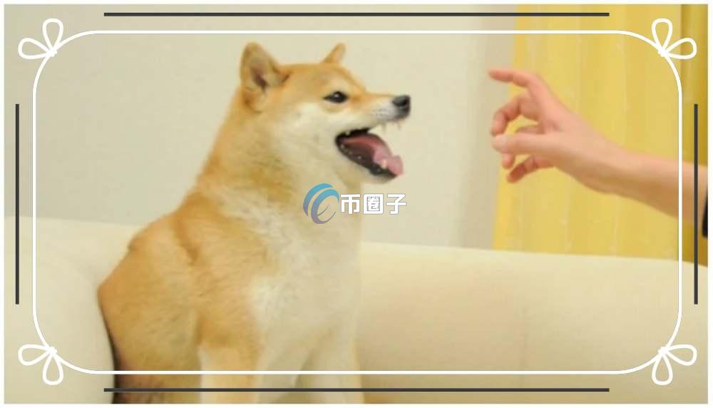 NFD币合约地址多少？NFD币合约地址介绍