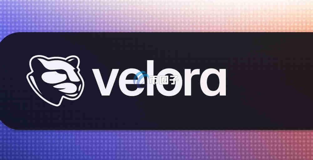 VLR是什么币种？VLR币值得投资吗？