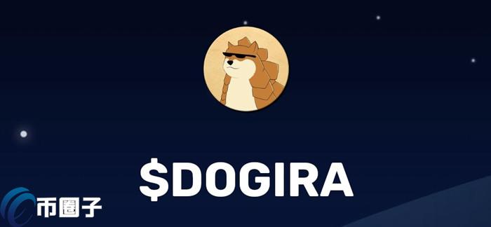 DOGIRA是什么币种？DOGIRA币官网总量和发行价介绍