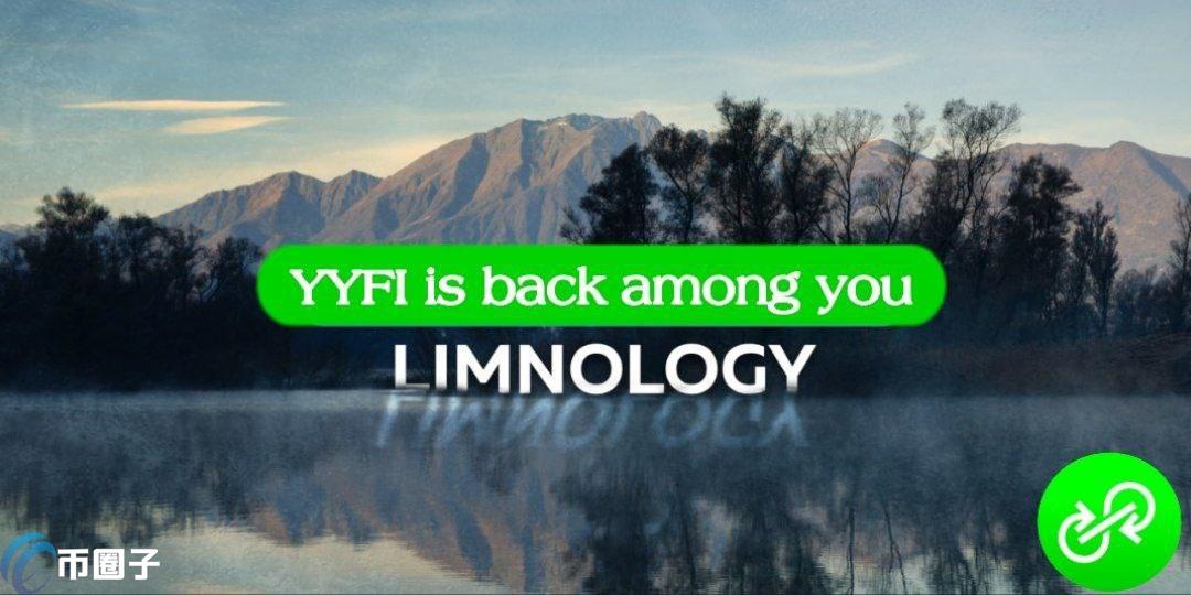 YYFI是什么币种？YYFI币前景怎么样？