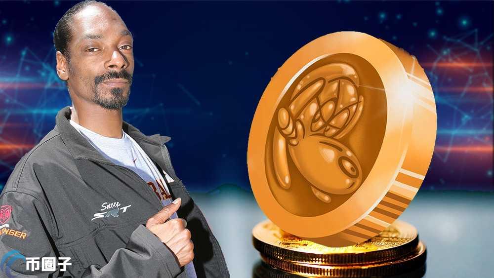 SNOOP是什么币？SNOOP币值得投资吗？