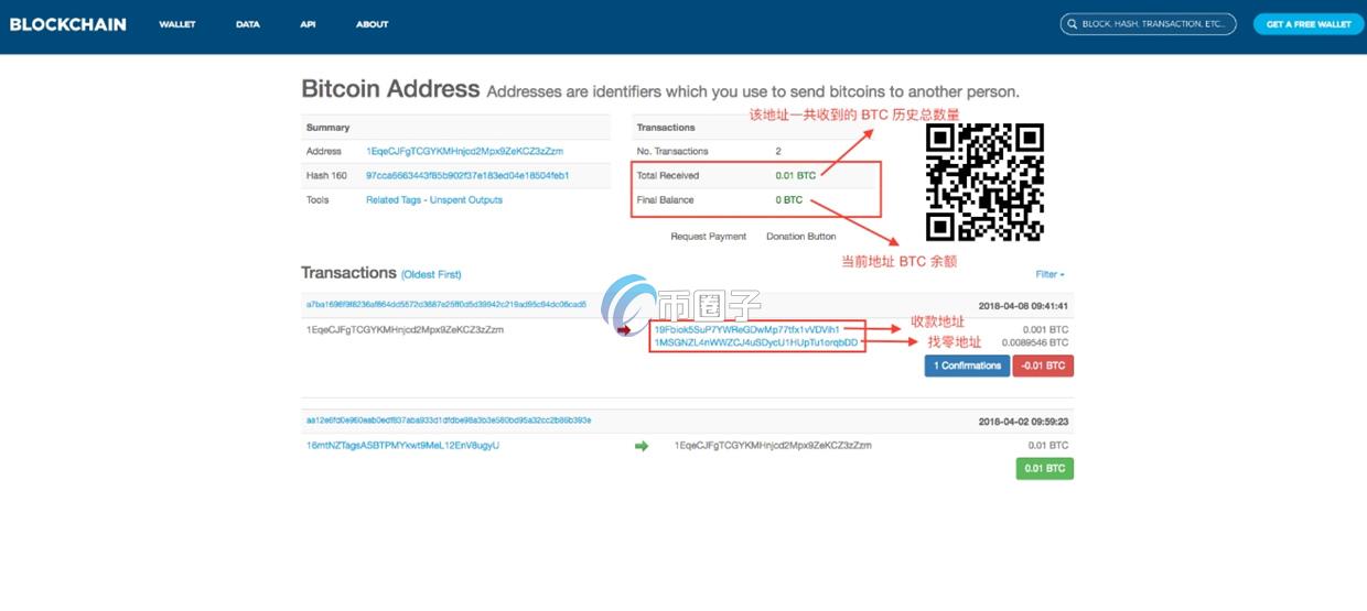 怎么查一个币种的持币数量？持币数量查询实操教程