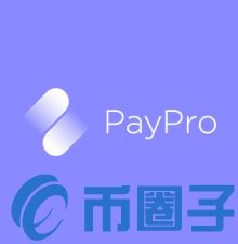 PYP币/PayPro是什么？PYP官网、白皮书和团队简介