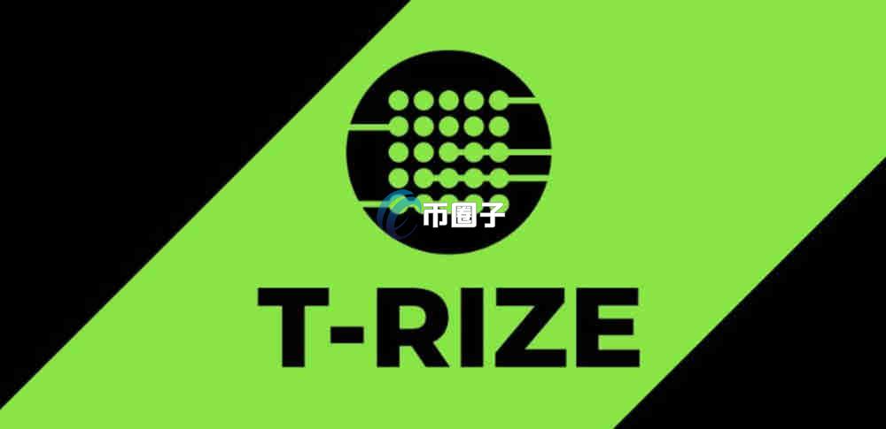 RIZE是什么币种？RIZE币价值如何？