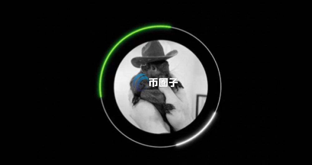 PNUT币的发展前景如何?PNUT币发展前景分析 PNUT币的发展前景如何?PNUT币发展前景分析