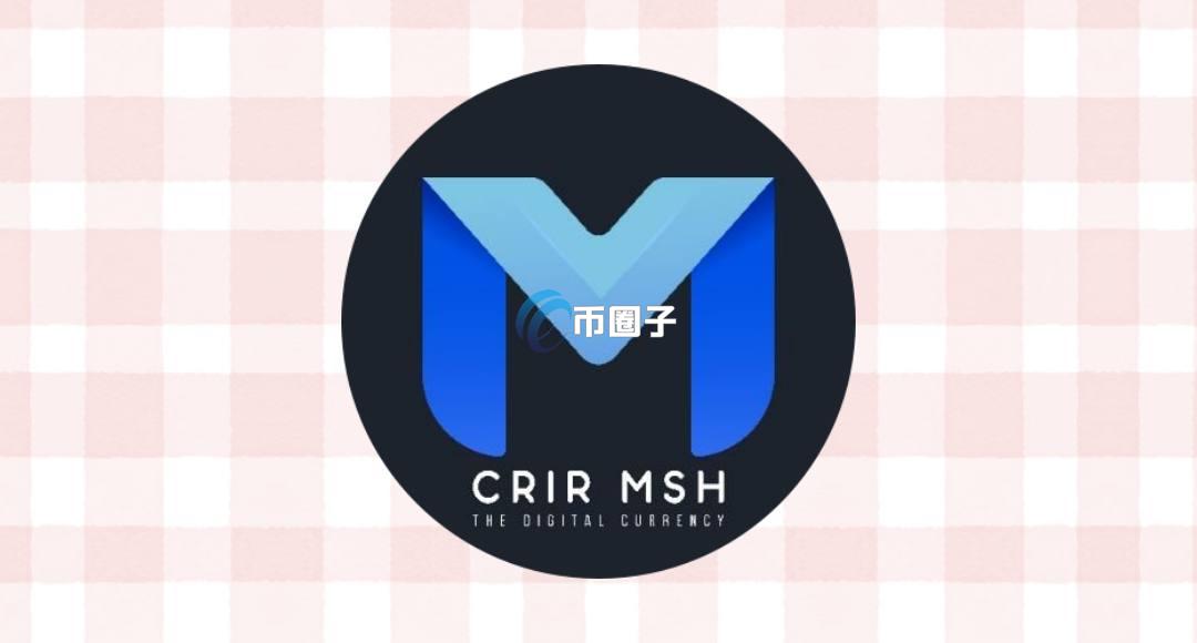 MSH币总量多少枚？MSH币总量介绍