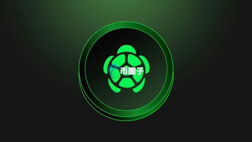 TURTLE是什么币种？TURTLE币值得投资吗？