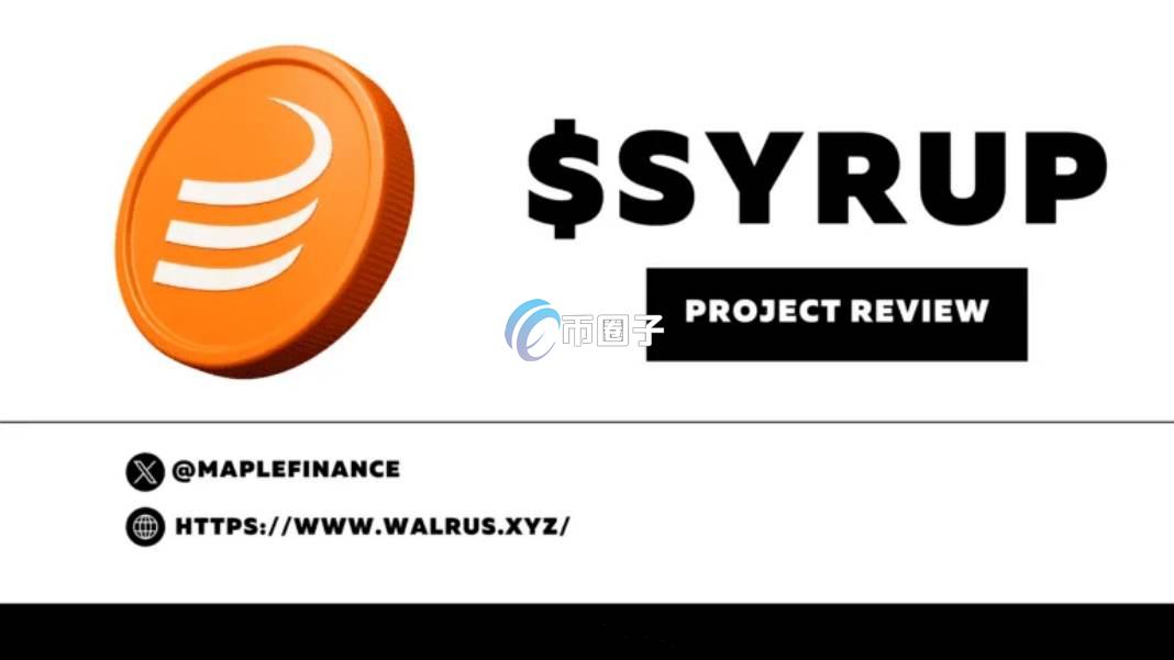 SYRUP币是公有链吗？能涨到多少？