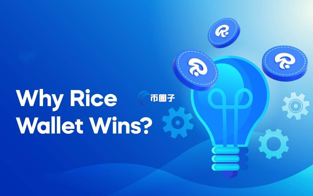 RICE是什么币种？RICE币价值如何？