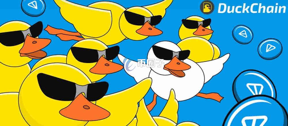 DUCK币能长期持有吗？全潜力大吗？