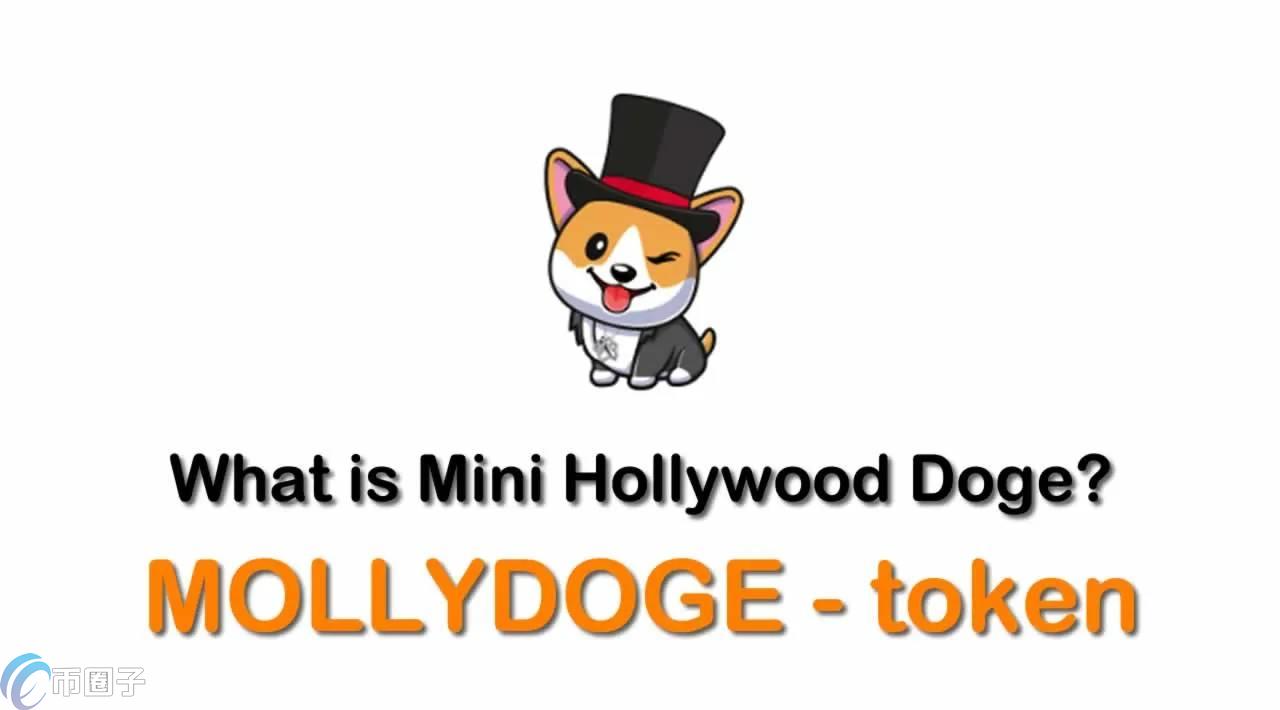 MOLLYDOGE是什么币种？MOLLYDOGE币详细介绍