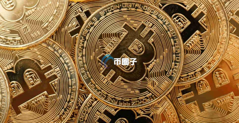 买币怎么看哪个能涨？