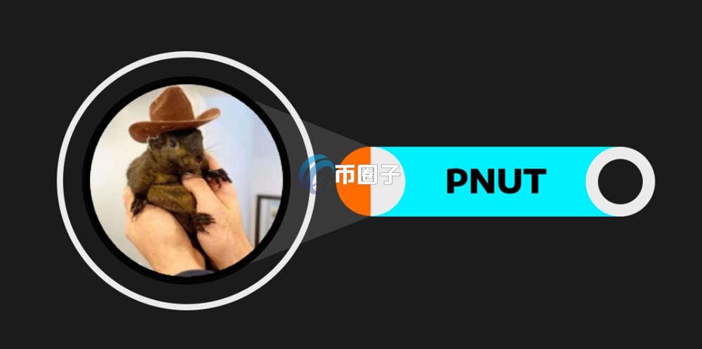 PNUT币的发展前景如何？PNUT币发展前景分析