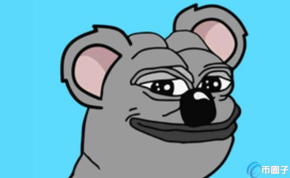 KOKO币是什么币？KOALAAI/KOKO币全面介绍