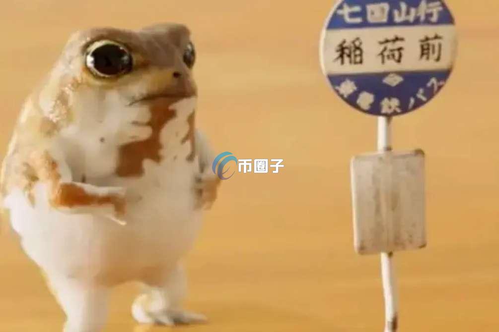 OMOCHI是什么币种？OMOCHI币全面介绍