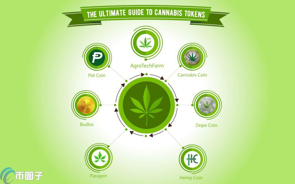 MCAN是什么币种？MCAN币有没有价值？