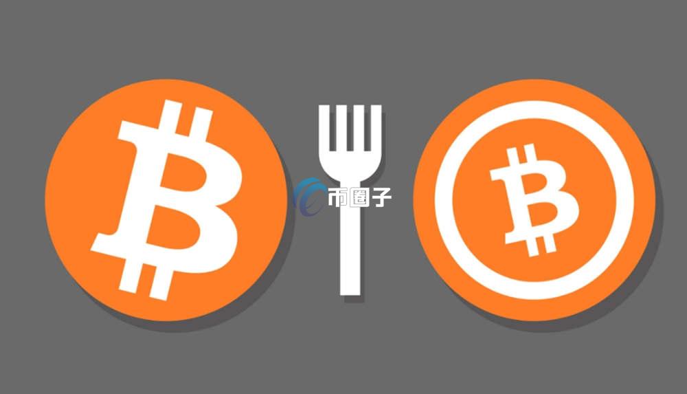 2026年分叉币排名榜单TOP更新了