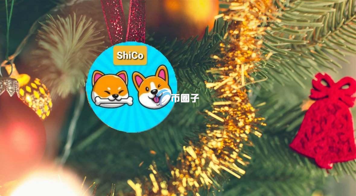 SHICO是什么币种？一文了解ShibaCorgi/SHICO币